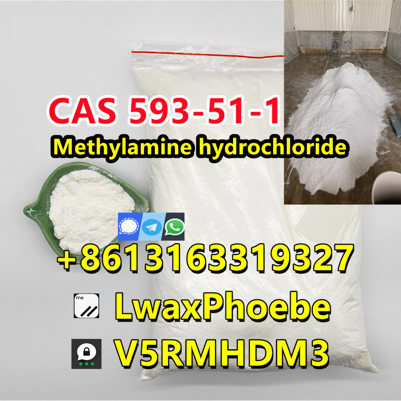 Factory price 593-51-1 methylamine hcl powder MMA in stock 
